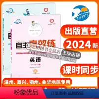 英语(外研版) 九年级/初中三年级 [正版]直营2024新版 自主高效练九年级英语外研版WY 全一册外研新标准A本+B本