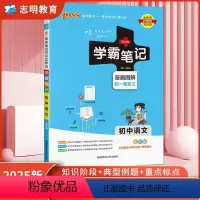 语文(人教版) 初中通用 [正版]2025新版 学霸笔记初中语文全彩通用 初中语文基础知识大全手册知识清单pass绿卡图