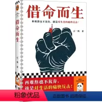 [正版]借命而生 石一枫 鲁迅文学奖 跨世纪追逃 当代 长篇 小说 再难熬也不放弃 对生活痛快反击 警察 中国版《肖申