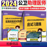 [正版]2024新版 2024年公共卫生执业助理医师资格考试应试习题集+实践技能应试指导 公共卫生学资格考试习题集 公