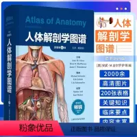 [正版]人体解剖学图谱原著第4版 上海科学技术出版社 临床医师 解剖学教师以及对人体解剖感兴趣的读者阅读与参考 紧密结