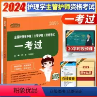 [正版]2024协和护考一考过全国护理学中级 主管护师 资格考试考试大纲历年考点视频答疑护资考试历年真题天天练重点标注