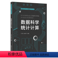 [正版]数据科学统计计算 数据科学与大数据技术丛书 许王莉 朱利平 9787300302386 中国人民大