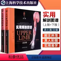 [正版]全2册 实用解剖图谱上肢分册+下肢分册第三版第3版 高士濂主编 临床医学解剖参考工具书籍局部系统解剖人体解剖学