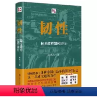 [正版]韧性 县乡政府如何运行 田先红 中国人民大学出版社 9787300324005