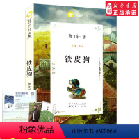 [正版]铁皮狗 曹 文集 值得每个家庭收藏一生的纯美文字 9-12-14岁儿童文学书籍 三四五六年级小学生课外阅读书籍