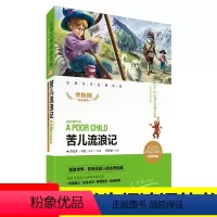 [正版]苦儿流浪记 经典文学名著金库 名师精评版 余秋雨作序 暑期读物 文学书籍7-10-12岁小中学语文课外书