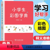 [正版]小学生彩图字典 全国通用小学123456年级收录3500多常用汉字多功能学习工具书汉字笔画偏旁结构笔顺字词释义