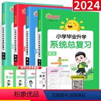 小学系统总复习[语文+数学+英语+科学]4本 小学升初中 [正版]2024版阳光同学小学毕业升学系统总复习人教版语文数学