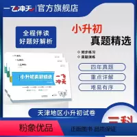 语文+数学+英语 小学升初中 [正版]2023秋一飞冲天小升初真题精选语文数学英语全套 天津小升初真题卷历年毕业升学考试