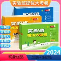 全套3本?语数英[人教版] 六年级下 [正版]2024新版春雨实验班提优大考卷一二三四五六年级上册下册人教版苏教小学学霸