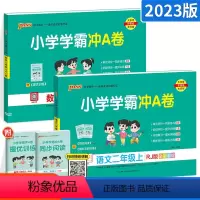 [大部分客户的选择]二年级上册语数 小学二年级 [正版]2023新版小学学霸冲A卷二年级上册下册语文数学人教版 pass