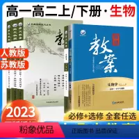 [高一]生物.必修1.人教版.分子与细胞 高中通用 [正版]2023新版鼎尖教案高中生物必修第一二选择性必修第一册二册三