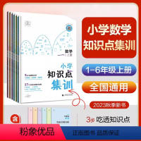 知识点集训数学 一年级上 [正版]2023秋季小学数学知识点集训一二三四五六年级上册全国通用小学数学知识点大全小儿郎五三