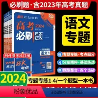 高考必刷题 [新高考版]语文3·现代文阅读 [正版]2023高考必刷题专题专练专项突破语文 语言文字运用现代文古诗文阅读