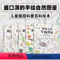 餐后骨头大考察 [正版]盛口满的手绘自然图鉴全5册套装 水果的秘密蔬菜的植物学 浪花朵朵童书 儿童插图水彩水果谷物骨头科