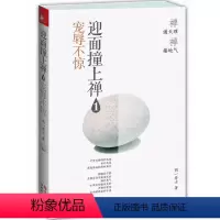 [正版]宠辱不惊-迎面撞上禅-1书明一居士禅宗人生哲学通俗读物 哲学宗教书籍