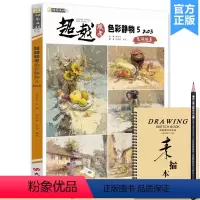 [正版]2023超越联考色彩静物5 励尚文化邱华丹