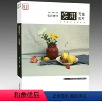 [正版](量大优惠)2015美考教学 实用写生照片 色彩静物 静物组合训练 色调 黑白照片 联考考题 美术艺考书籍97