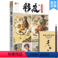 [正版]彩度色彩静物范本 2023品博文化教学笔记梁华洲陈皓林