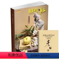 [正版]联考胜素描静物照片2019图画图书刘家新素描基础水果蔬菜花卉静物照片对画写生技法临摹高校考题应考长期美术绘画册