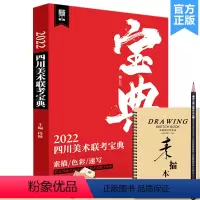 [正版]2022四川美术联考宝典 敲门砖段健 素描速写色彩川美考题解析艺考书籍