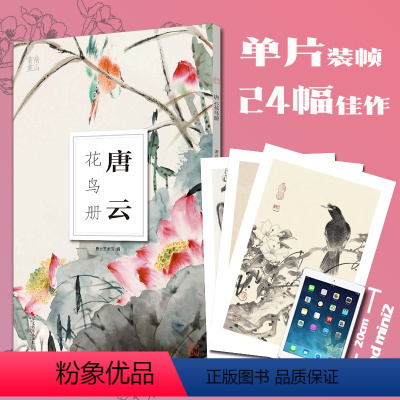 [正版]唐云花鸟册南山册页 大8开单片高清印刷 历代名家册页鉴赏临摹画册 初学者绘画中国画水墨画花鸟画技法教程作品集