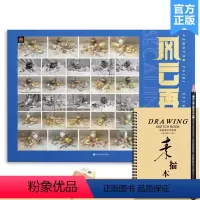 [正版]风云再起色彩静物 2022领先教学