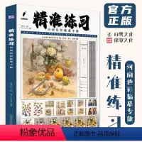 [正版]精准练习河南色彩临摹专版2024白鹭文化刘冲王杰安斌