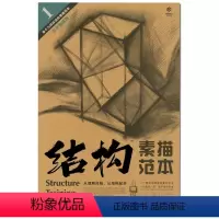 [正版]商城 结构素描范本1 单个几何体结构素描范本(黄金典藏版)