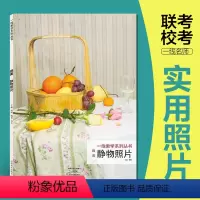 [正版]一线教学系列丛书唯美 静物照片 成辉 河南美术