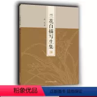 [正版]兰花白描写生集 51幅写生作品 工笔画白描花卉底稿原大呈现/零基础初学者白描技法从入门到精通教程/白描花草临摹