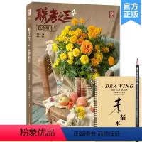 [正版]联考之王4色彩照片 2023敲门砖钟伟安
