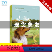 单本 [正版]灵犬莱西 打动孩子心灵的动物经典 儿童文学经典名著二年级三年级四五六年级小学生课外书 阅读物故事书老师童书