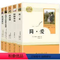 *人教版*九年级下选读必读全5册 [正版]九年级下课外必读书目儒林外史简爱人教版初中三年级课外阅读书格列佛游记契科夫短篇
