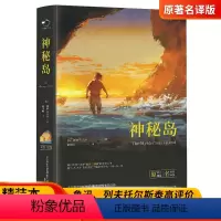 神秘岛 [正版]神秘岛凡尔纳儒勒原著全译本完整无删减精装世界文学名著青少年版中小学生三四五六年级课外阅读书籍凡尔纳科幻小