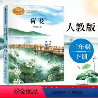 荷花 [正版]荷花 叶圣陶著 课文作家作品系列 三年级下册小学语文课内外拓展阅读经典文学名作儿童文学学生拓展阅读课外书