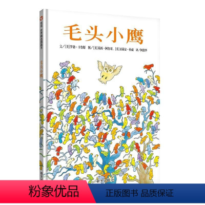 毛头小鹰 [正版]世界精选图画书 毛头小鹰(精)2-3-4-5-6-7岁幼儿园大班小班中班儿童读物绘本书籍 幼儿童绘本故