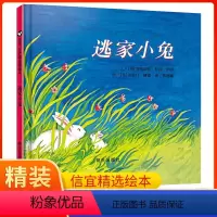 逃家小兔 [正版]逃家小兔绘本硬壳精装 纽约时报年度儿童图书 0-3-4-5-6周岁幼儿园小学一二年级宝宝儿童启蒙故事读