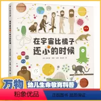 在宇宙比橘子还小的时候 [正版]在宇宙比橘子还小的时候精装儿童绘本3–6岁阅读幼儿园亲子共读宝宝早教想象力启蒙认知读物经