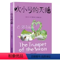 [正版]吹小号的天鹅(美)怀特著外国文学少年儿童故事书籍童话故事书小学生课外阅读书籍老师二三四五年级课外书上海译文出版