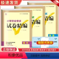 语文+数学+英语 小学升初中 [正版]2024通城学典小学毕业考试试卷精编小升初系统总复习卷子语文数学英语真题模拟试卷人