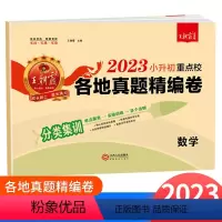 [通用版]小升初真题卷 数学 小学升初中 [正版]2023新版王朝霞小升初重点校各地真题精编卷语文数学英语人教版全国通用