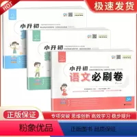 必刷卷语文+数学+英语 小学升初中 [正版]2023版全脑图书小升初必刷卷语文数学英语全国通用版小学六年级升初中初一七年