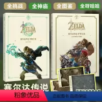 2本装[王国之泪+旷野之息]完全攻略本 [正版]UCG 掌机王NS14 圣兽之王 波斯王子失落王冠 马力欧咚奇刚