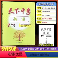 七年级下册[天下中考英语] 初中通用 [正版]2023版天下中考英语七八九年级上册英语课时同步训练 初中初一二三英语核心