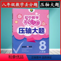 [正版]初中数学丢分题压轴大题 八年级上册下册数学合订本丢分题初二8学期压轴大题 湖北教育出版社新书 初二 数学丢分题