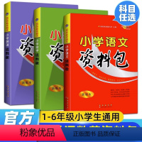 小学[语文+数学+英语]资料包 小学通用 [正版]2022小学语文数学以英语资料包小升初知识大集结集锦大全人教版三四五六