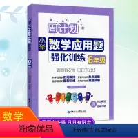 [正版]2021周计划小学数学应用题强化训练六年级上册下册通用版人教版重点题型训练思路讲解天天练小学数学6年级全册