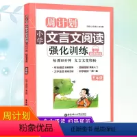[正版]小学文言文阅读强化训练五年级上册下册合订本培优新帮手古诗文全解一本通起步启蒙课外阅读专题扩展与专项突破小学生辅